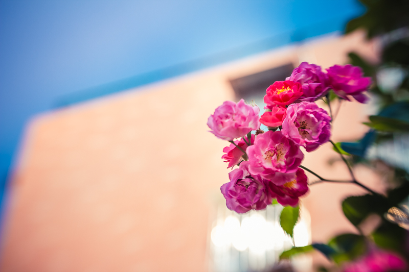_MG_6092.jpg