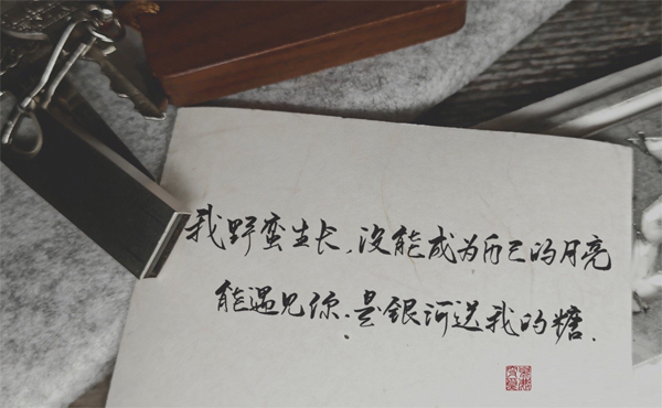 未标题-12.jpg