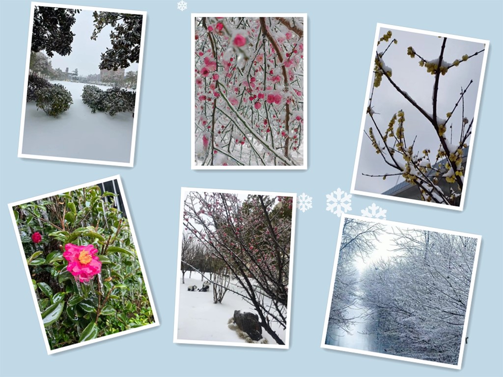雪景.jpg