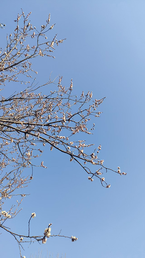 微信图片_20250320212059.jpg