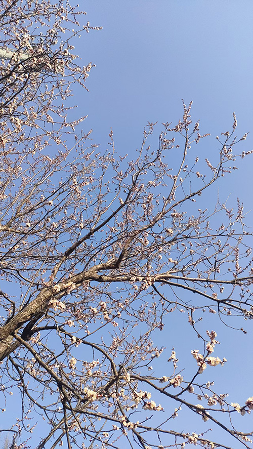 微信图片_20250320212055.jpg