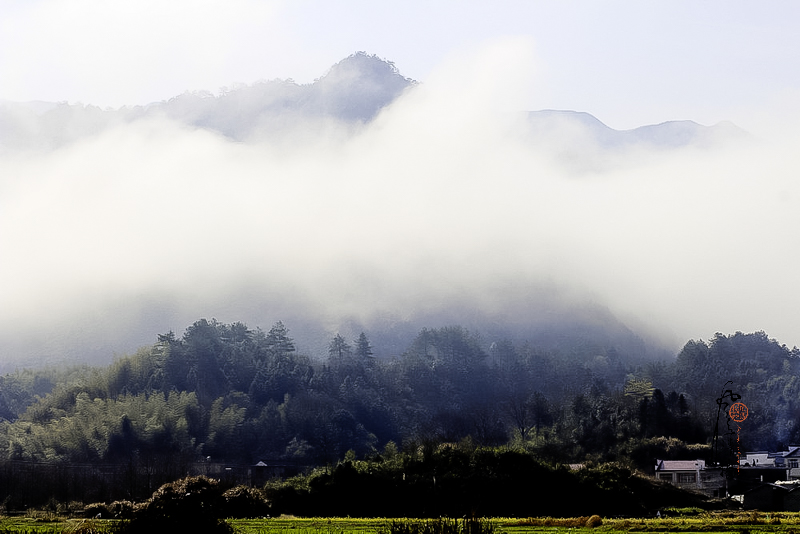 _MG_2853.jpg