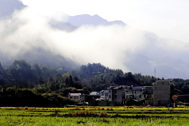 _MG_2860.jpg