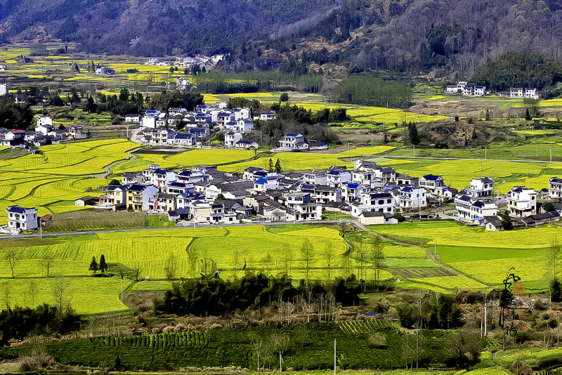 _MG_2896.jpg