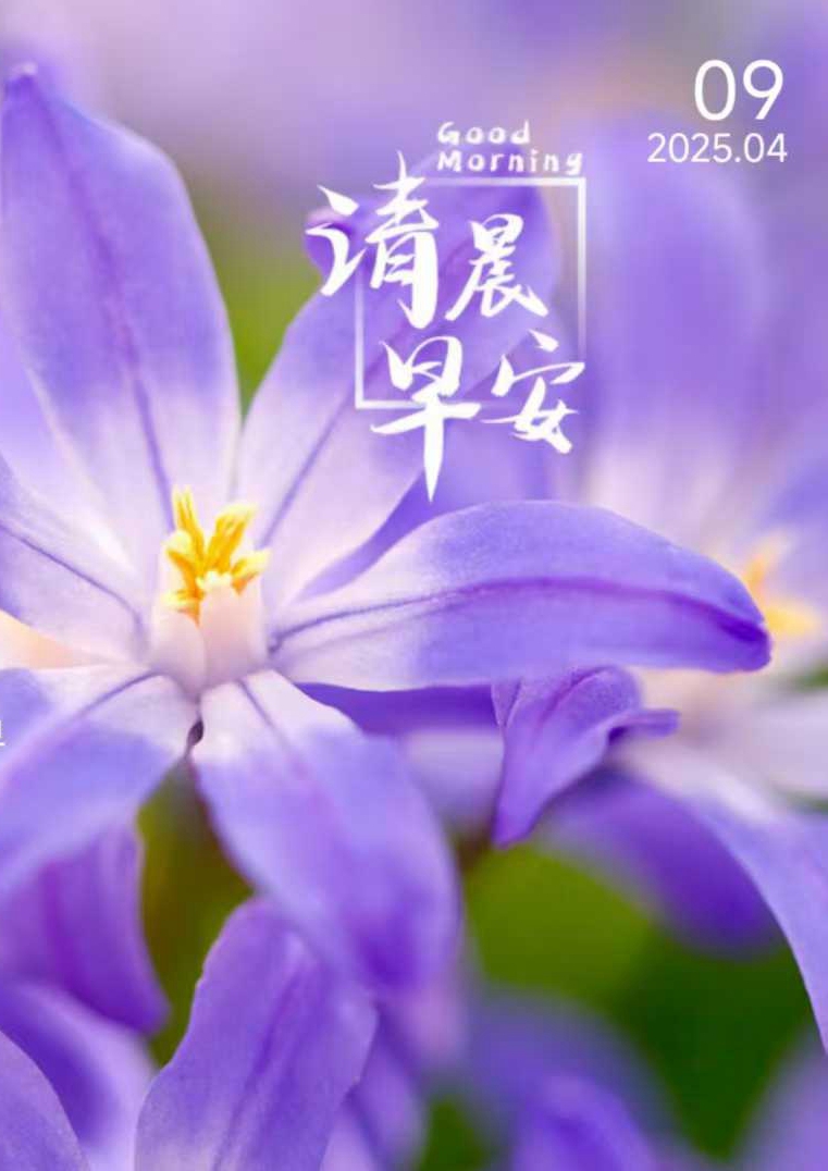 微信图片_20250409081635.jpg