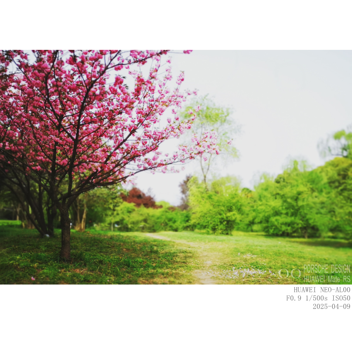 409yh (4).jpg