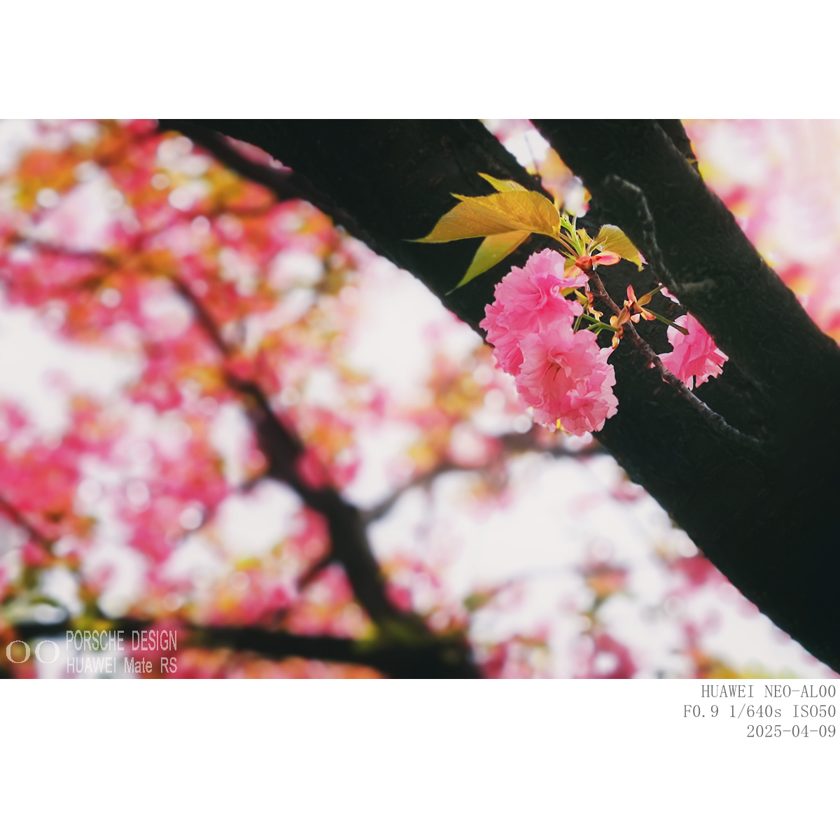 409yh (8).jpg