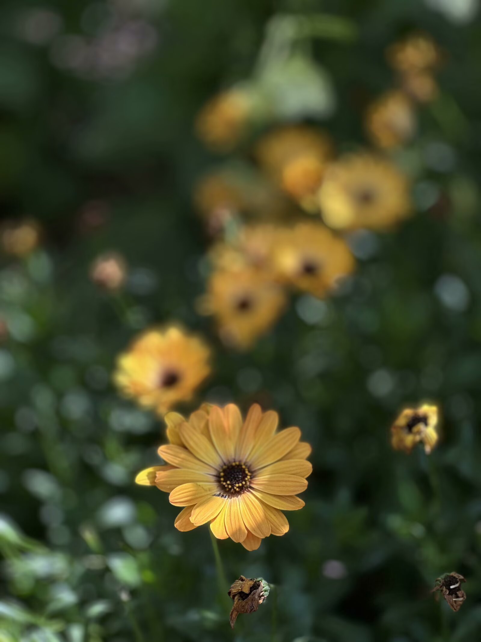 IMG_0835.jpeg