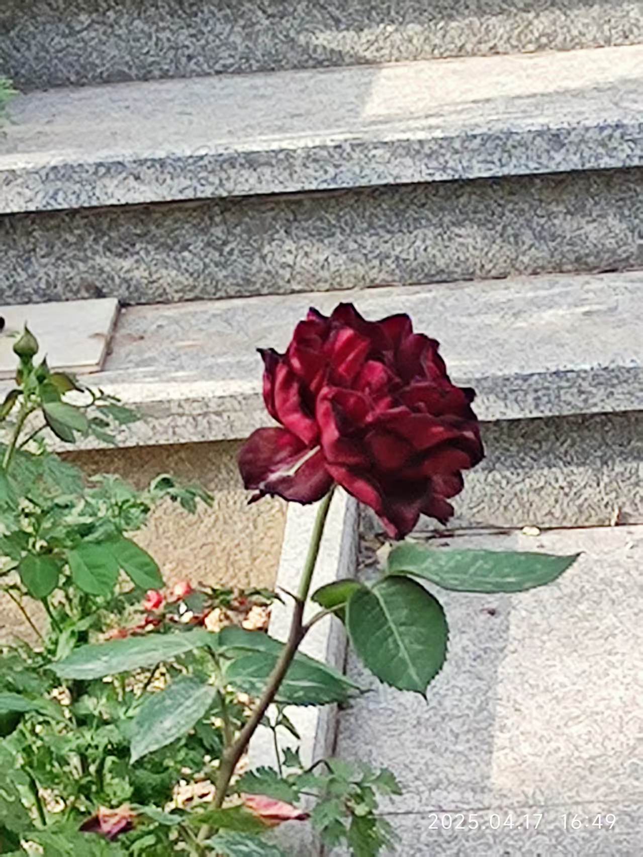 微信图片_20250504082104.jpg