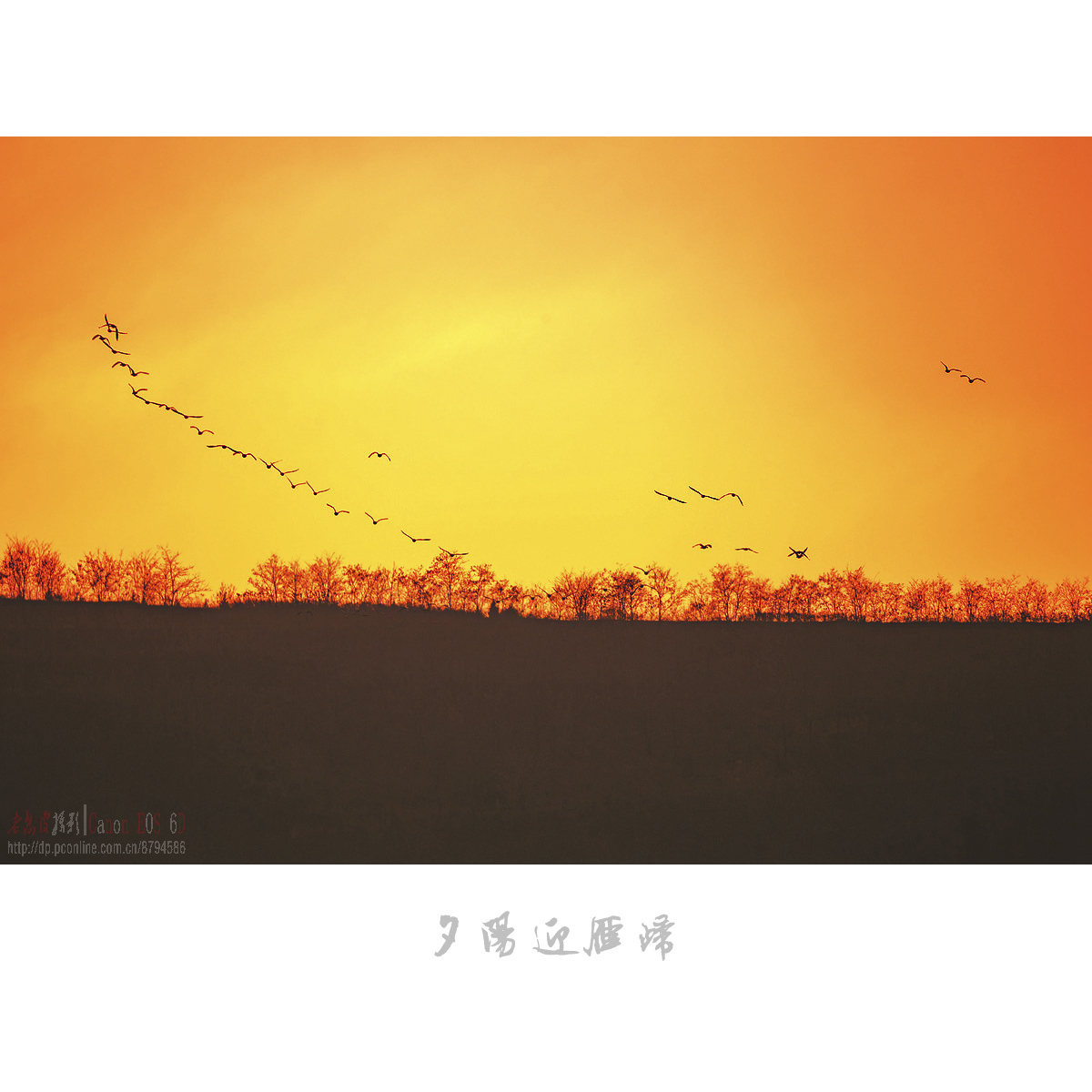 dy (2).jpg