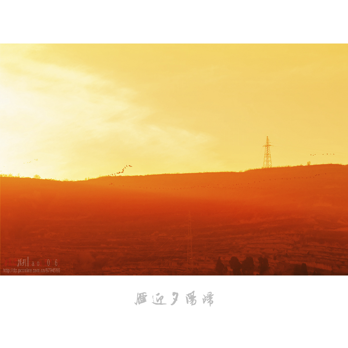 dy (8).jpg