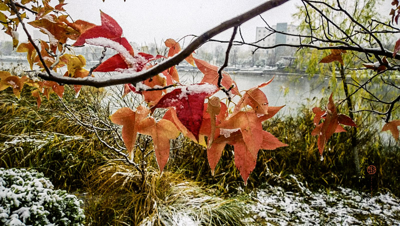 WP_20151124_11_47_15_Pro__highres.jpg