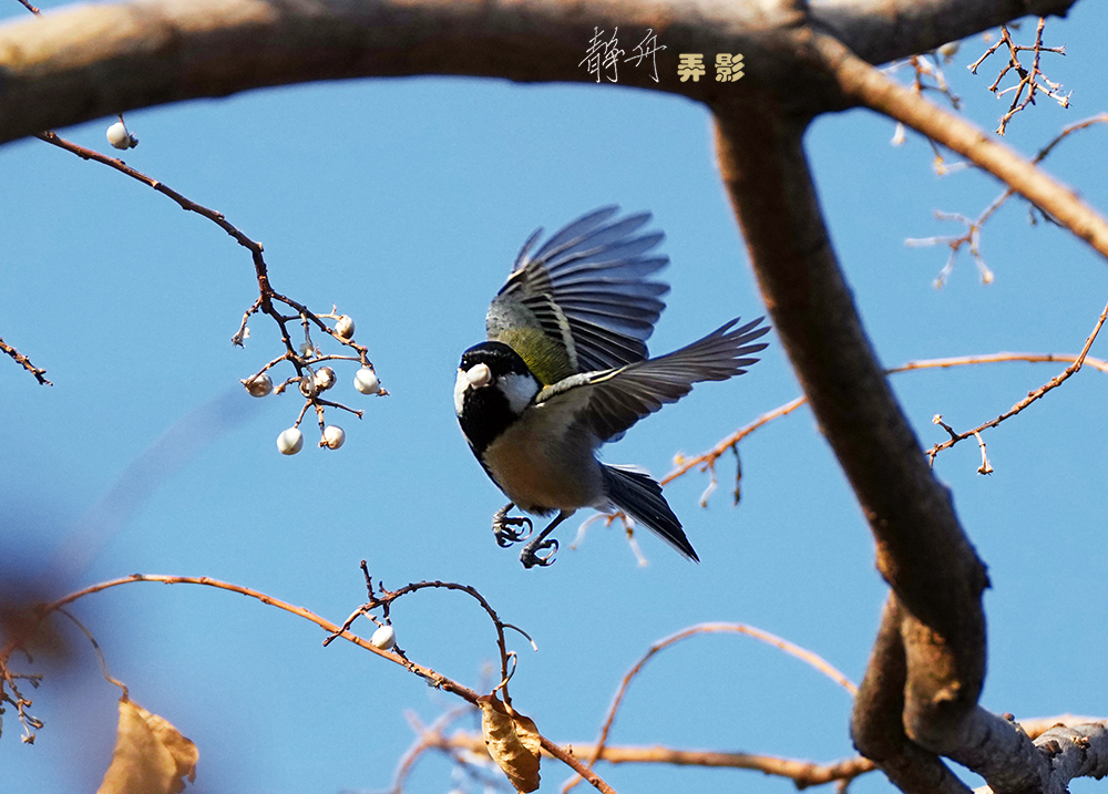 A250128-155-千.jpg
