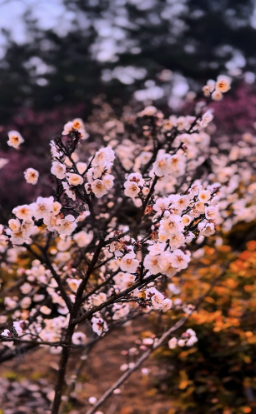 未标题-5.jpg