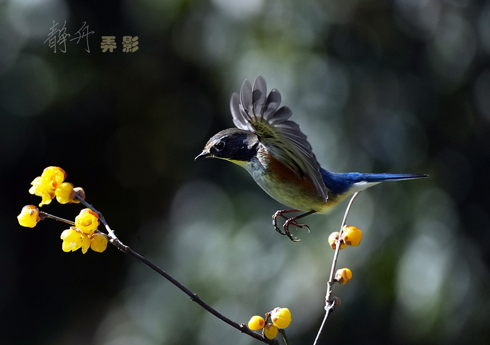 A250130-101-千.jpg