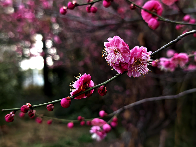 c5431a38a9051016e7f5bcee83eb4db.jpg