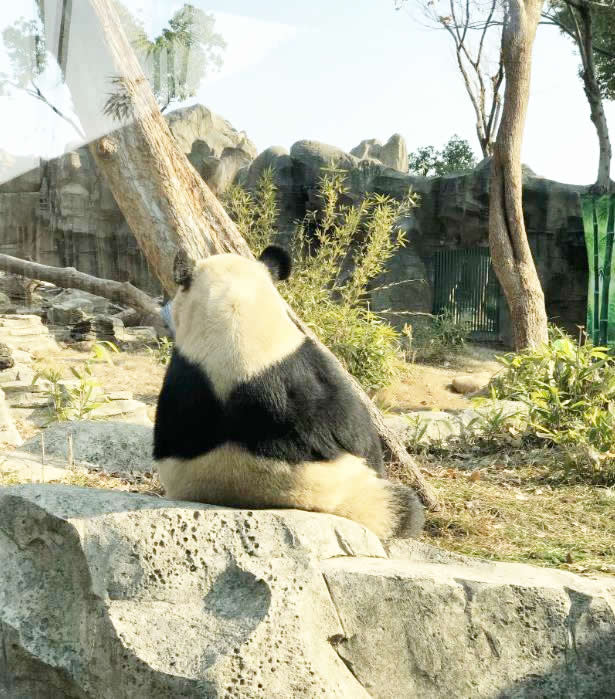 截图20250302094620.jpg