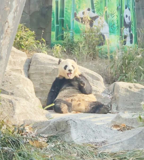 截图20250302094649.jpg