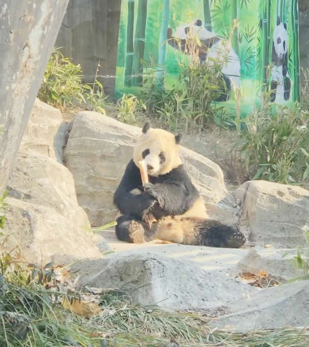 截图20250302094725.jpg
