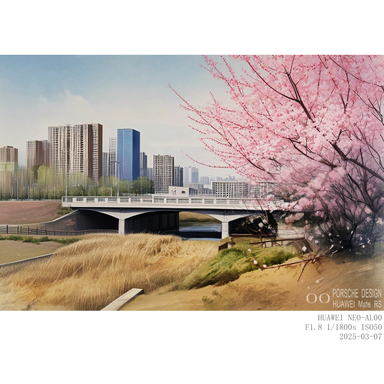 307山桃 (1).jpg