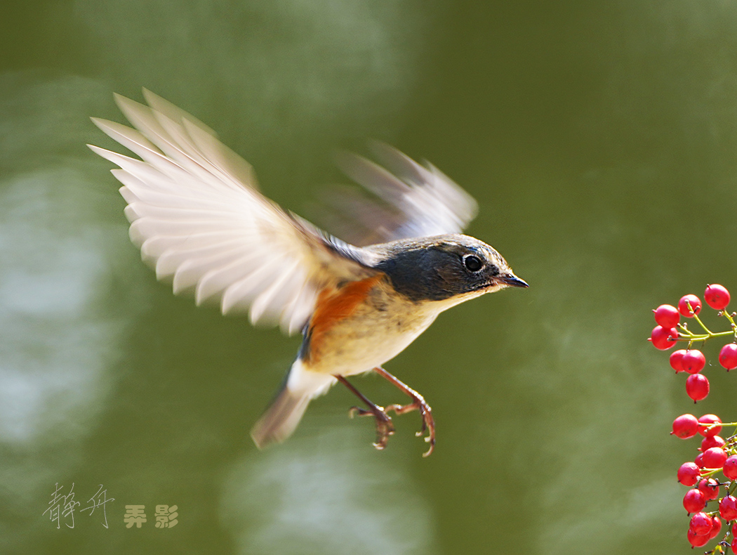 A250204-0449-千.jpg