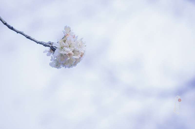 _MG_9276.jpg
