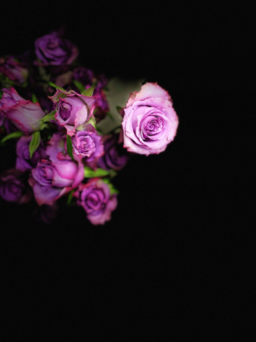 IMG_2501.jpeg