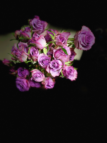 IMG_2503.jpeg