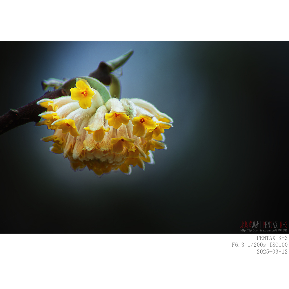 312jiexiang (4).jpg