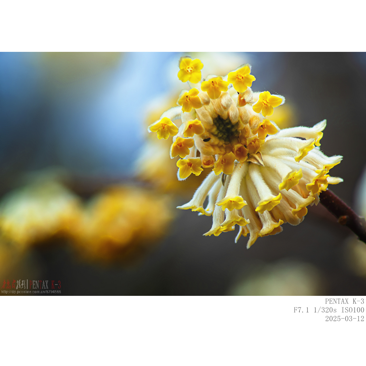 312jiexiang (6).jpg