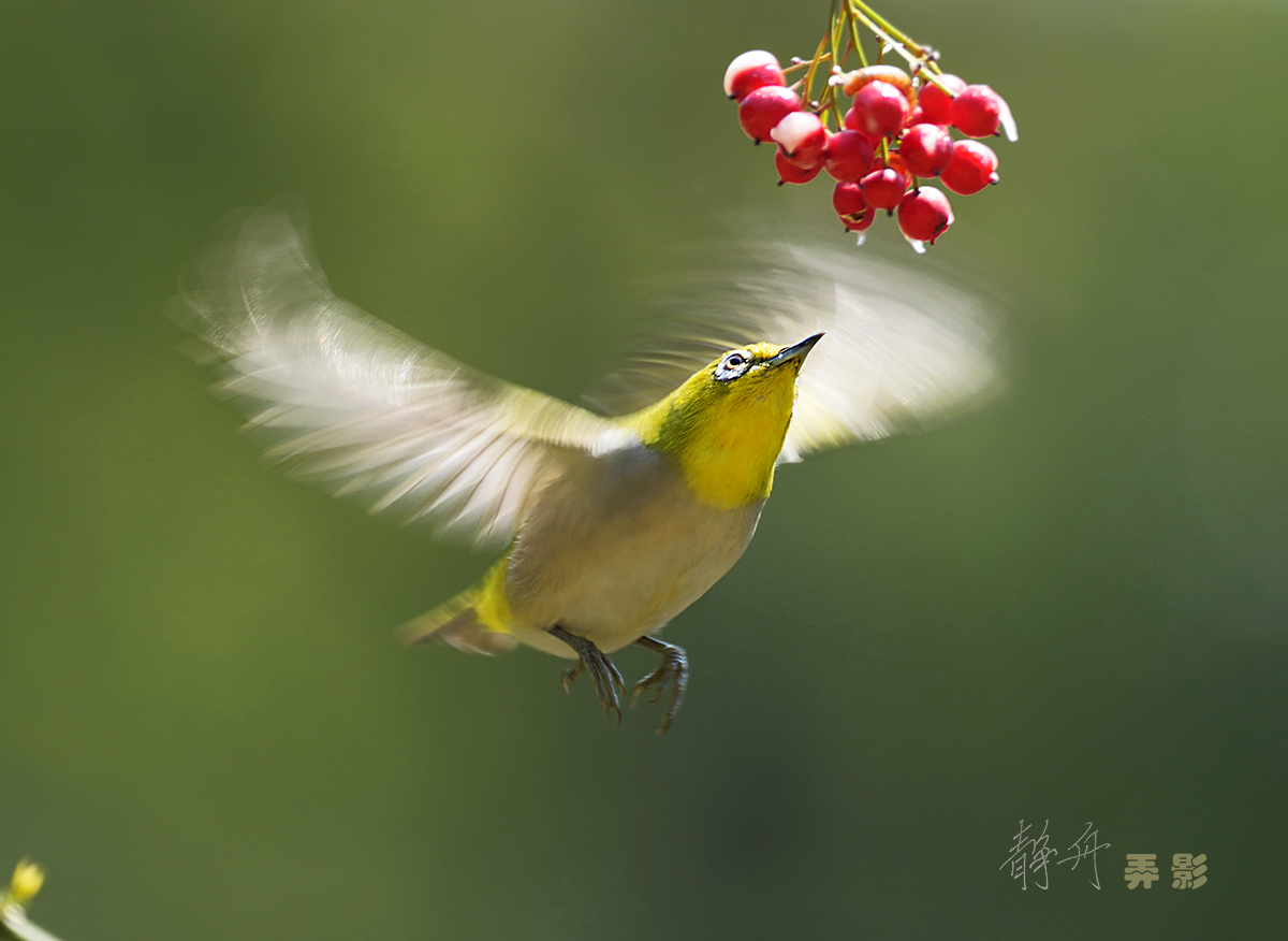 A250319-034-千.jpg