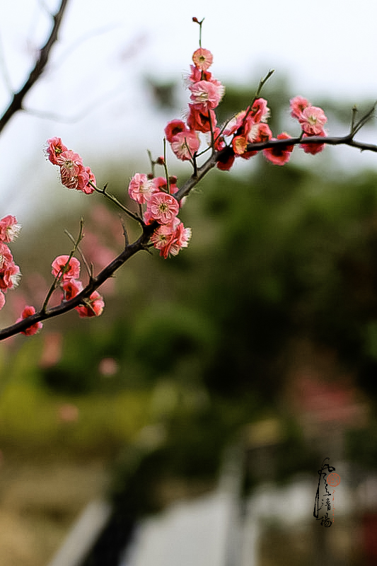 IMG_0073_副本.jpg