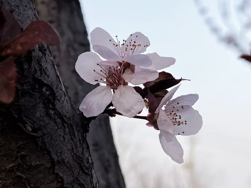 56011246-BB7D-4145-B8FB-095423151492.jpeg