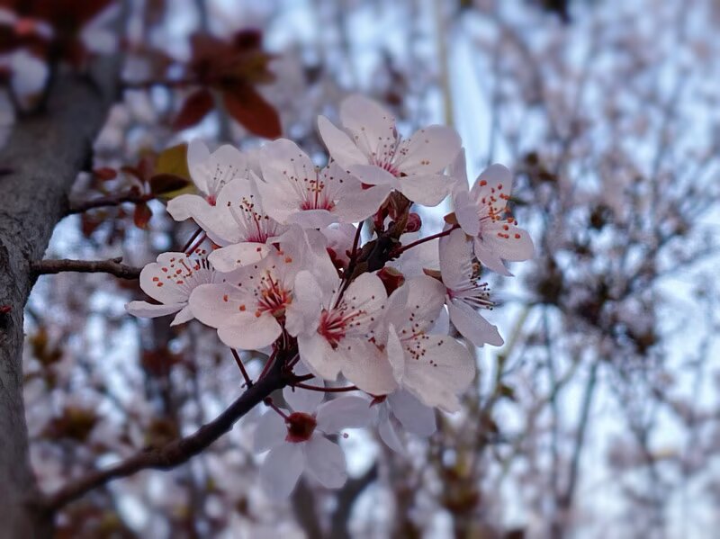 11454BCD-067B-4F3D-AE32-C891F74E3167.jpeg