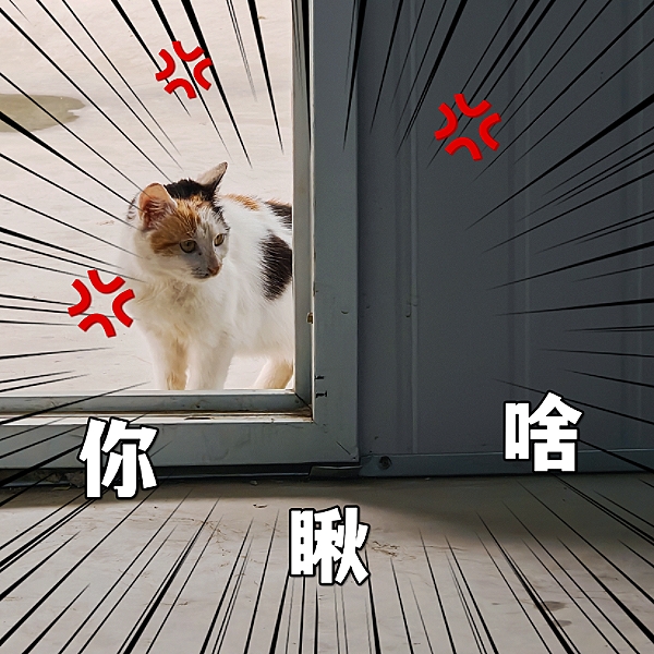 MEITU_20250403_092857031.jpg