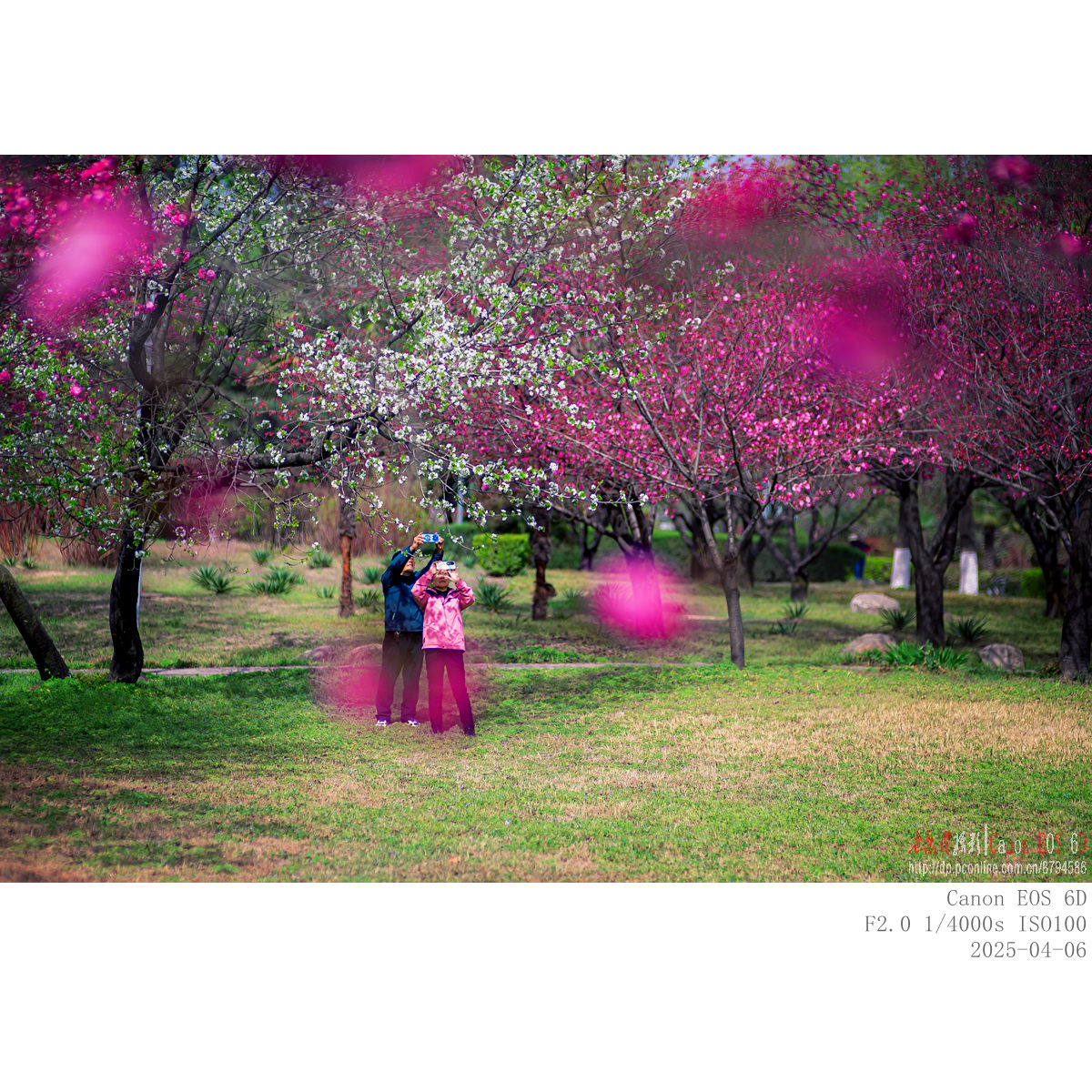 IMG_5384_副本.jpg