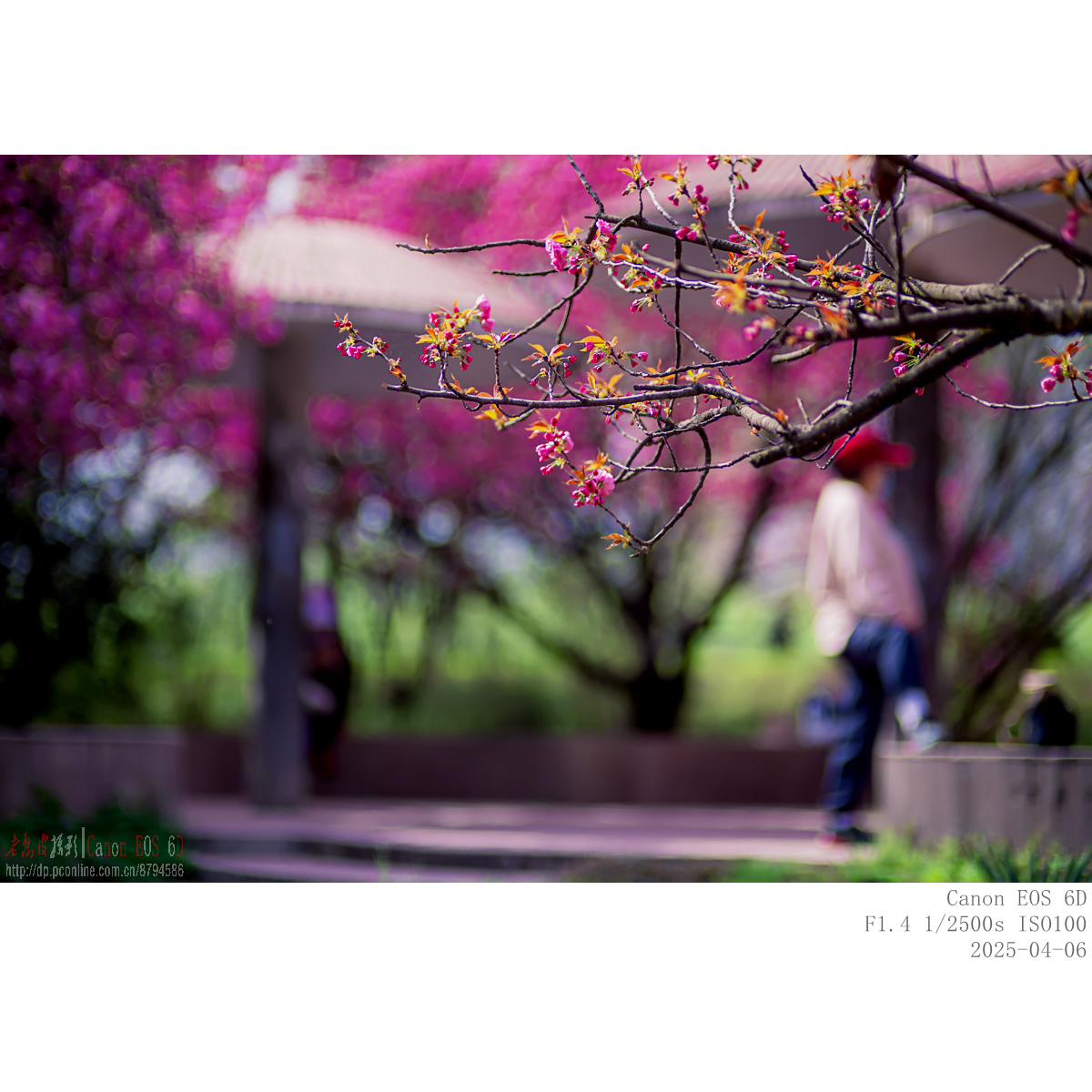 IMG_5434_副本.jpg