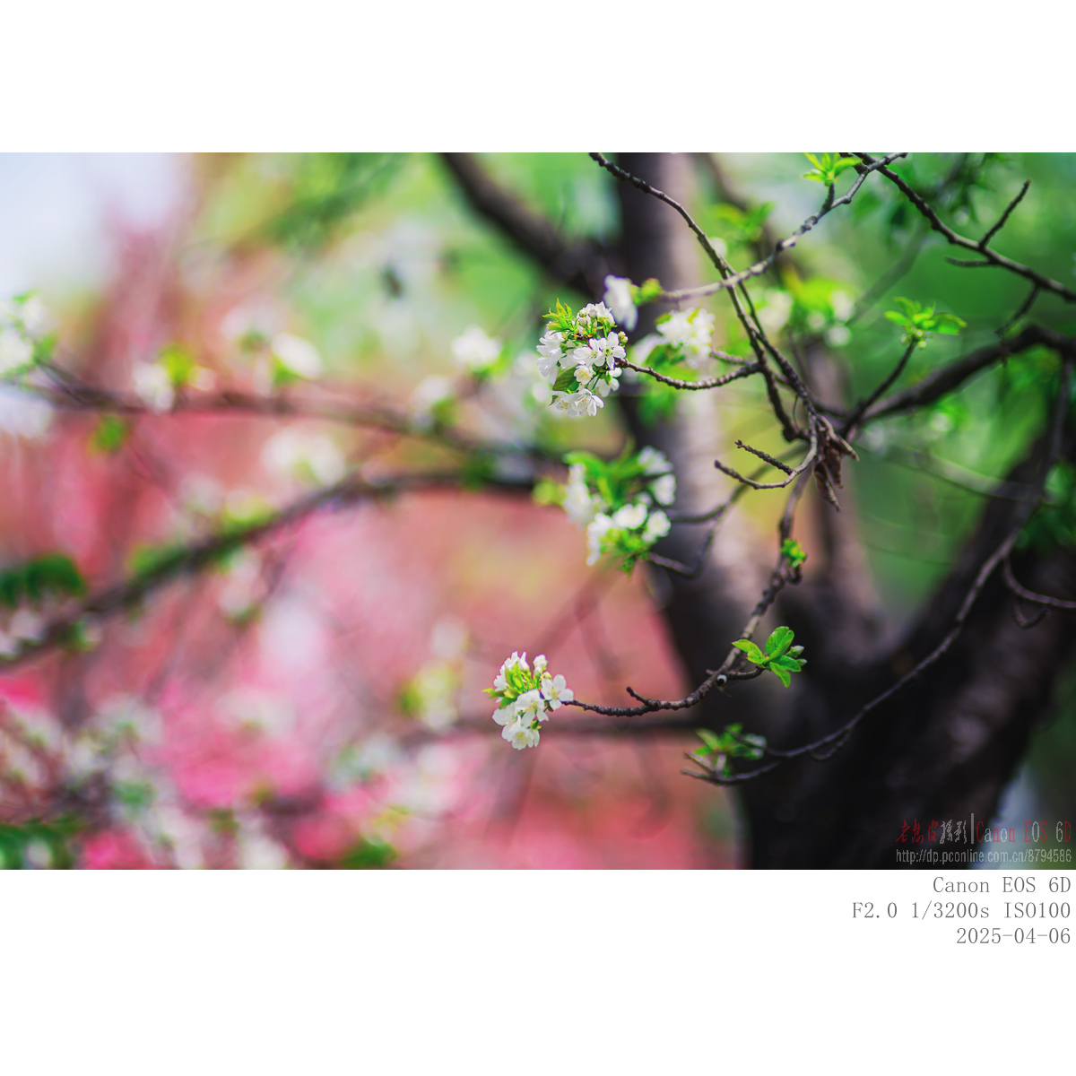 406yh (8).jpg