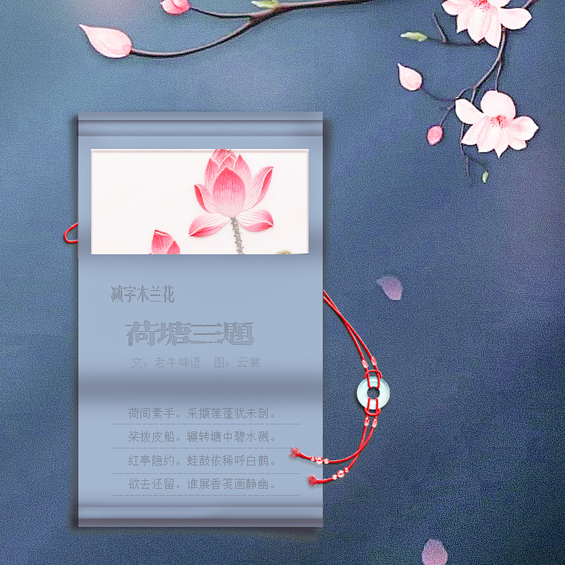 荷塘1.jpg