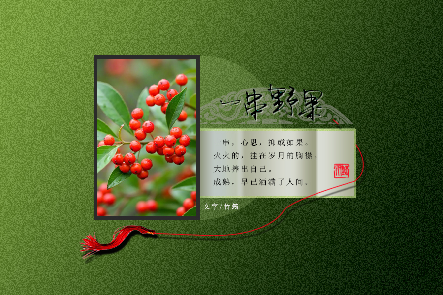 一串野果1.jpg