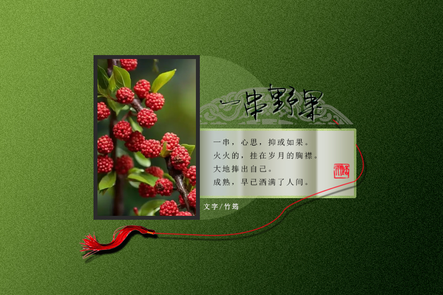 一串野果2.jpg