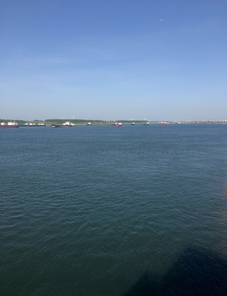 EBB809A9-1868-448C-82D9-09F147E39ABE.jpeg