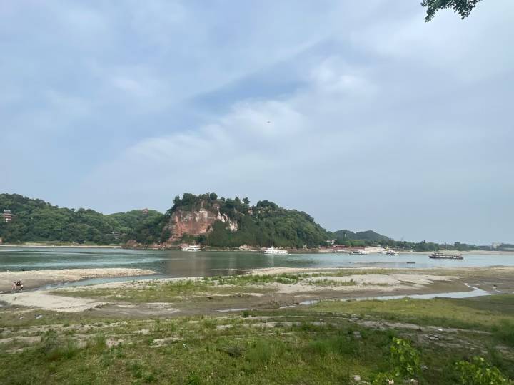 mmexport1746229407225.jpg