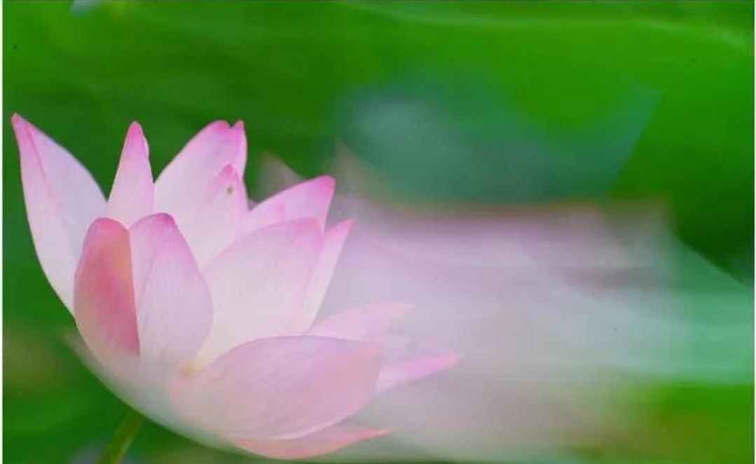 Screenshot_20250507_172331_com_hihonor_baidu_browser_BiSerialDynamicActivity_edi.jpg