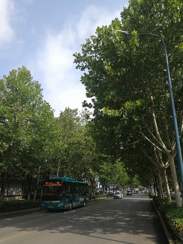 IMG_20180724_090606_副本_副本.jpg
