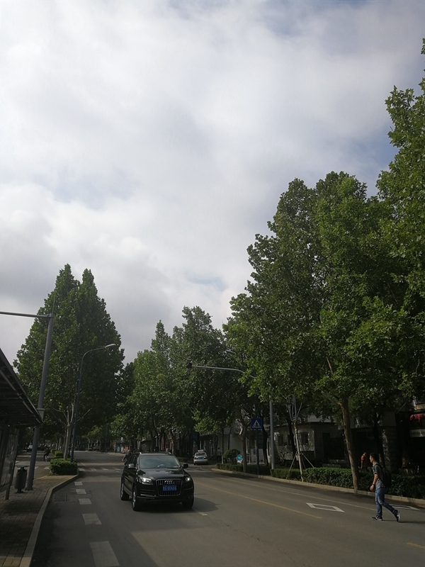 IMG_20180724_091348_副本_副本.jpg