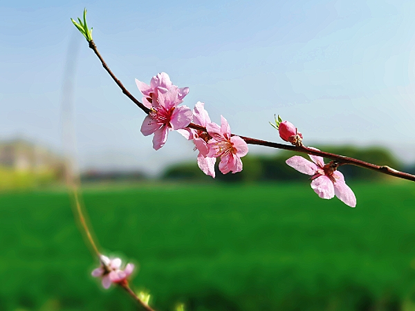 MEITU_20250526_204305242.jpg