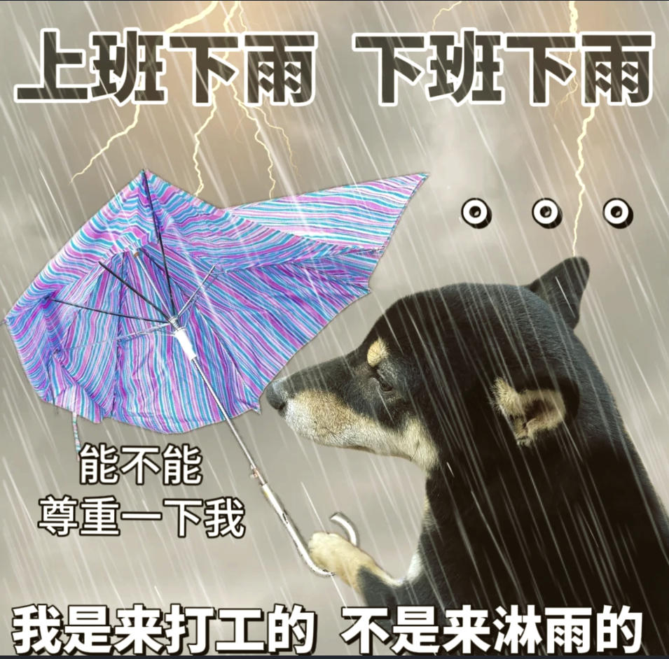 牛马.jpg