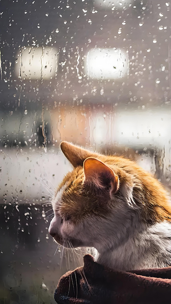 雨11.jpg