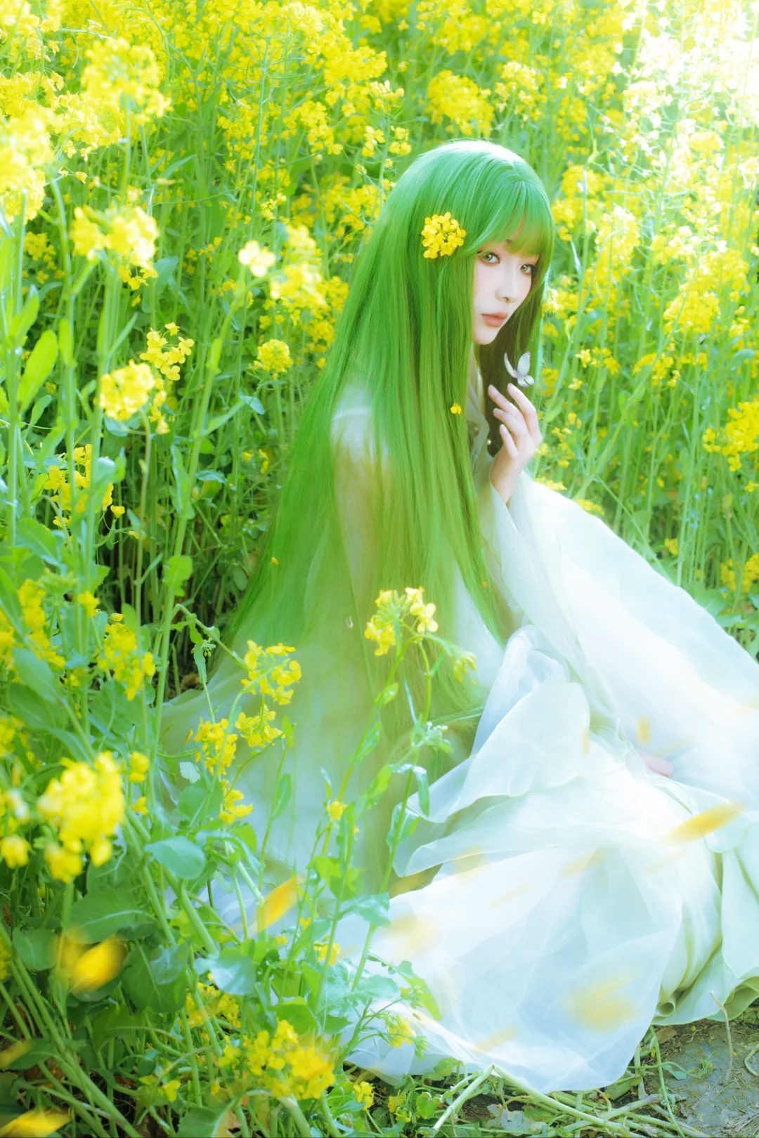 油菜花春日畅想‖绿意精灵……_4_风吟（古风版）_来自小红书网页版.jpg